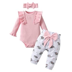 Trajes de bebé recién nacida de manga larga con volantes y patrón de erizo pantalones con diadema linda ropa de bebé niña, rosa, 12 meses