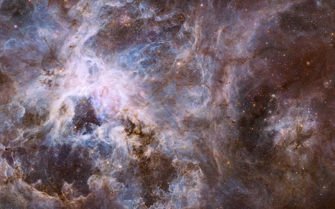 El Erizo Cósmico: Los Misterios del Universo Espinoso